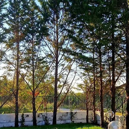 Cilento Case&vacanze - Leyland Laureana Cilento